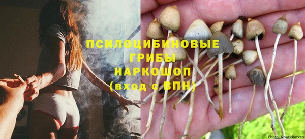 мет Елабуга