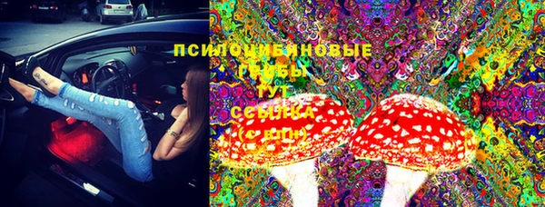 каннабис Дмитров