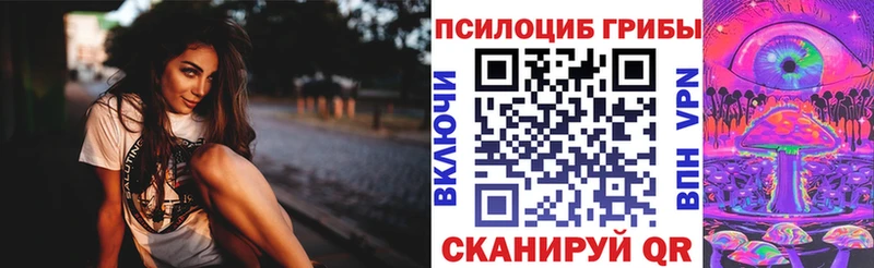 Псилоцибиновые грибы Psilocybine cubensis  Заозёрный 