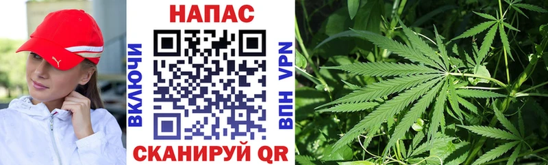 Канабис ГИДРОПОН Заозёрный